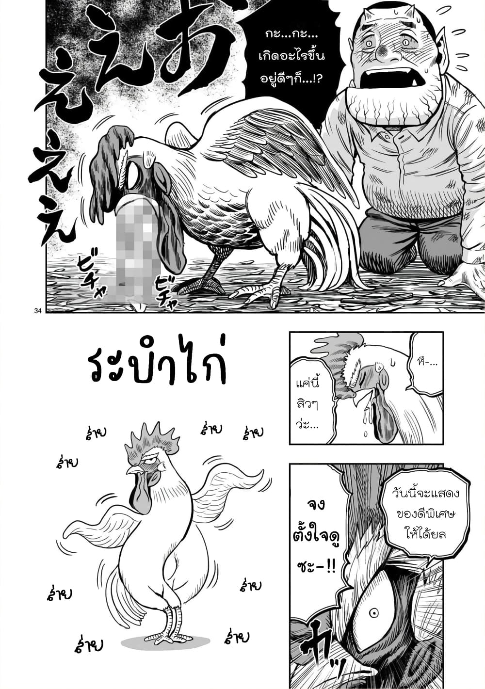 Rooster Fighter 12 (33)